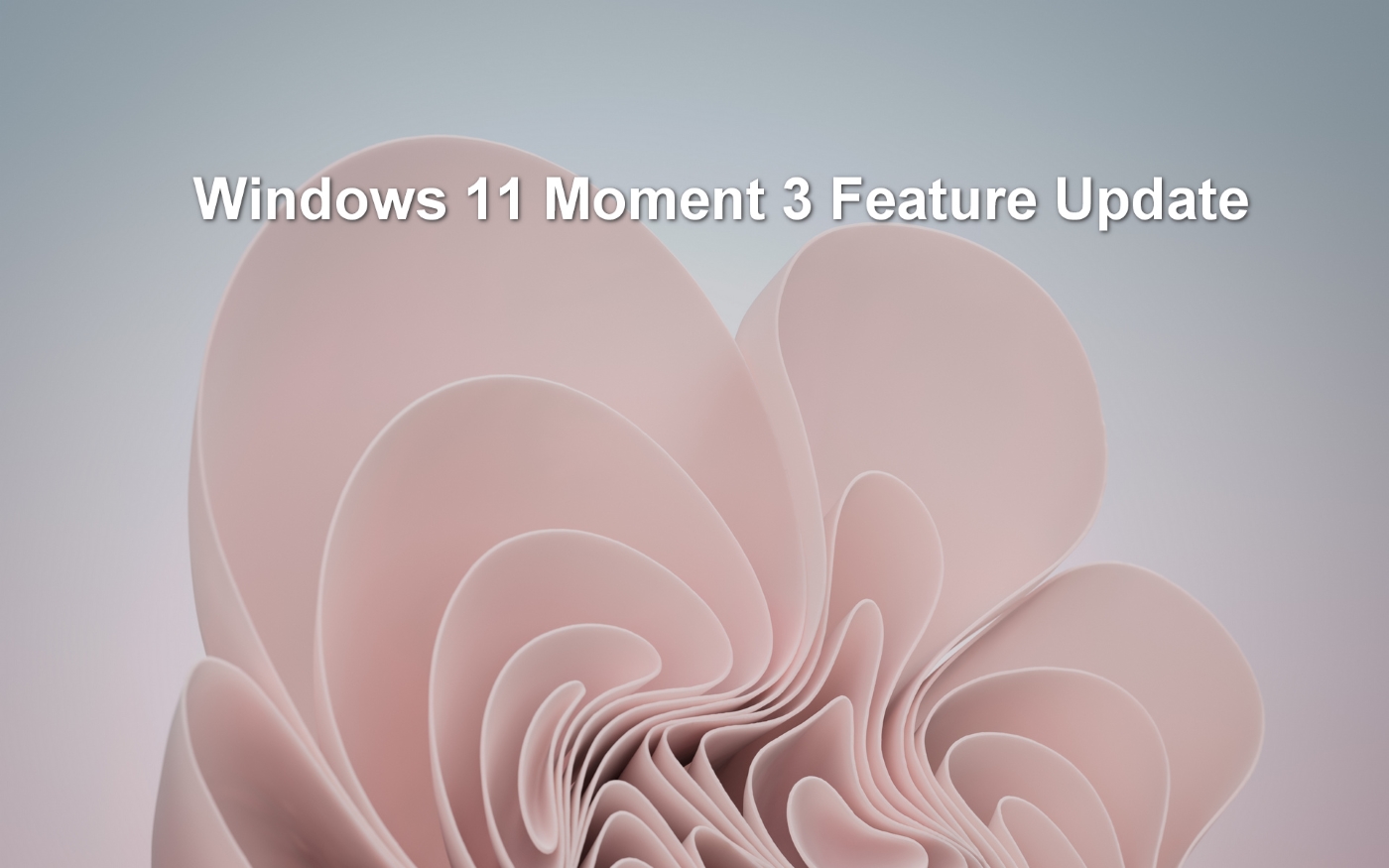 pink paper curled up like flower petals with the text Windows 11 Moment 3 Feature Update hovering above it